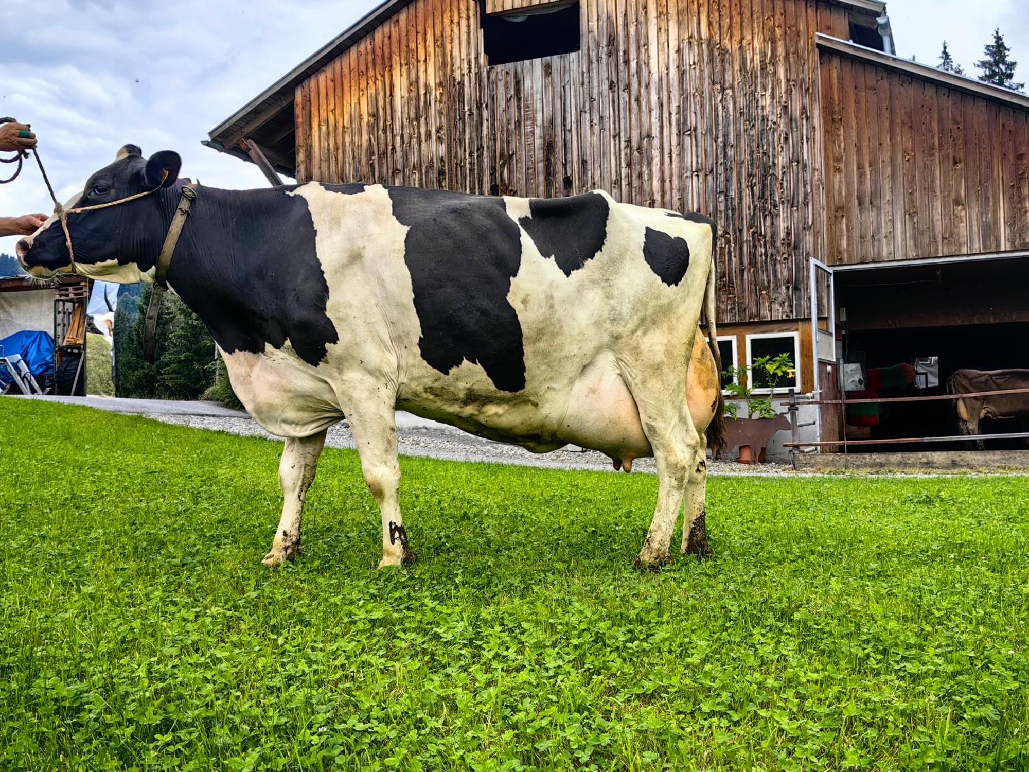 Voegelhof Doren Exterior foto