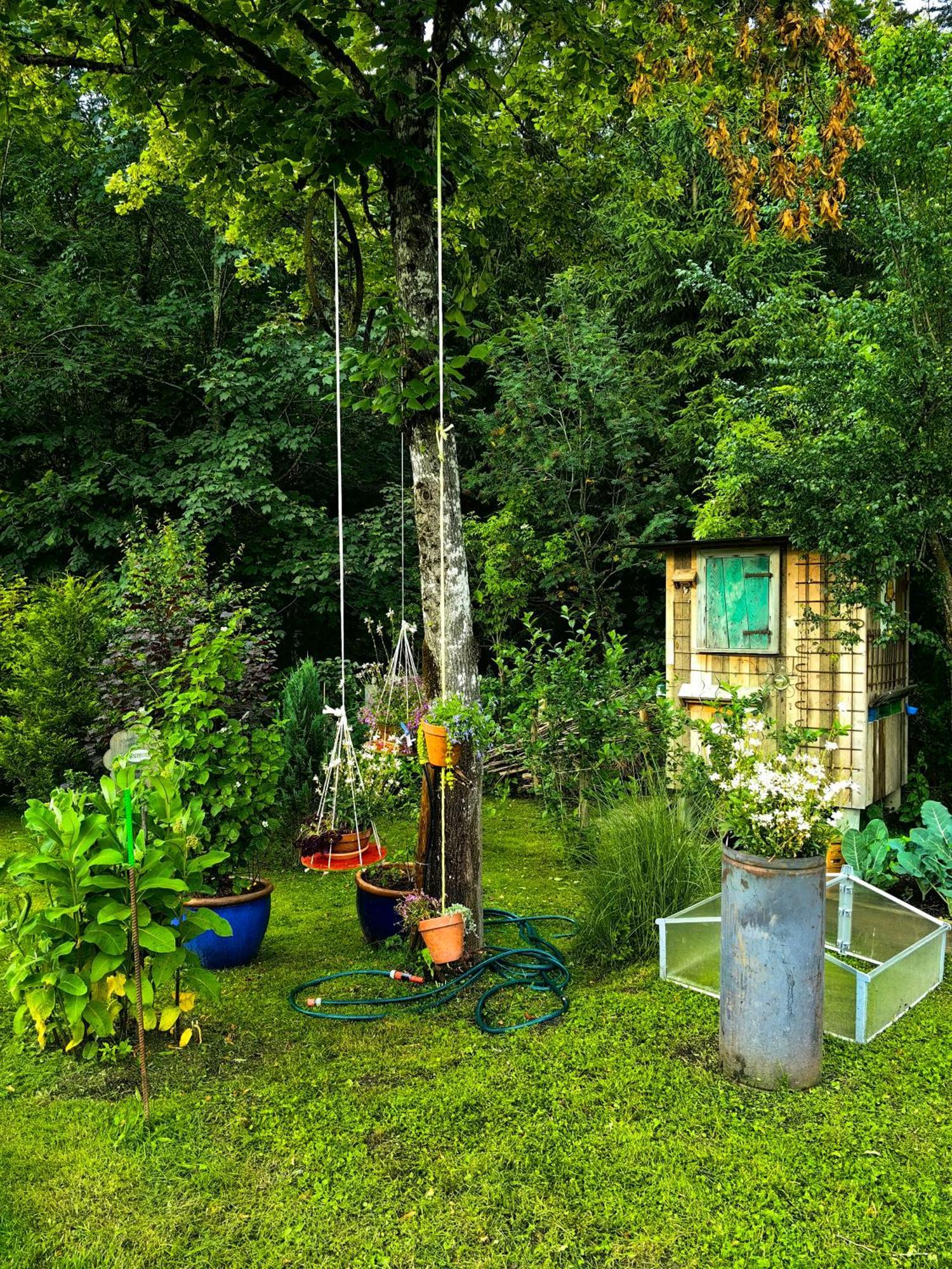 Voegelhof Doren Exterior foto