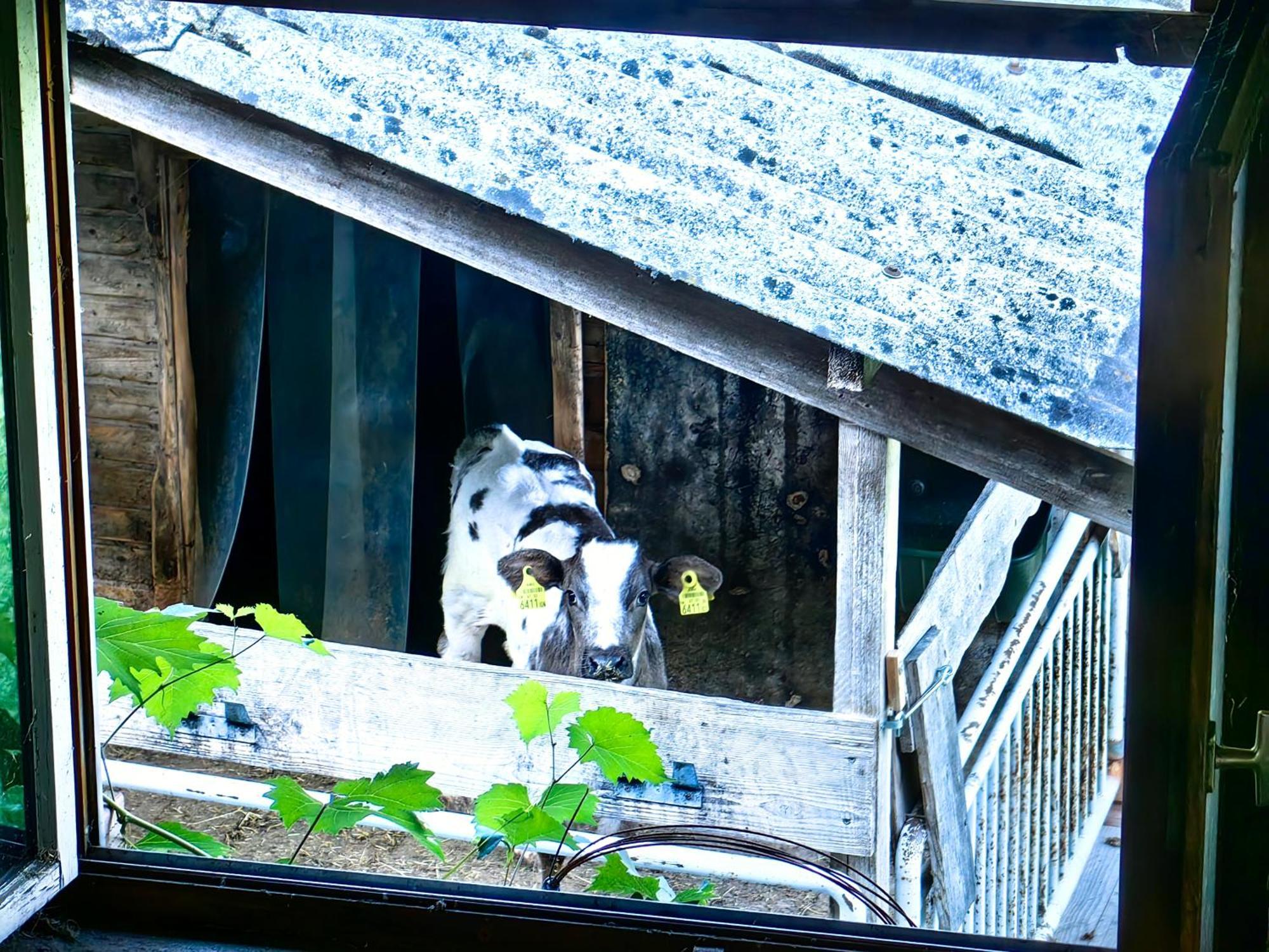 Voegelhof Doren Exterior foto